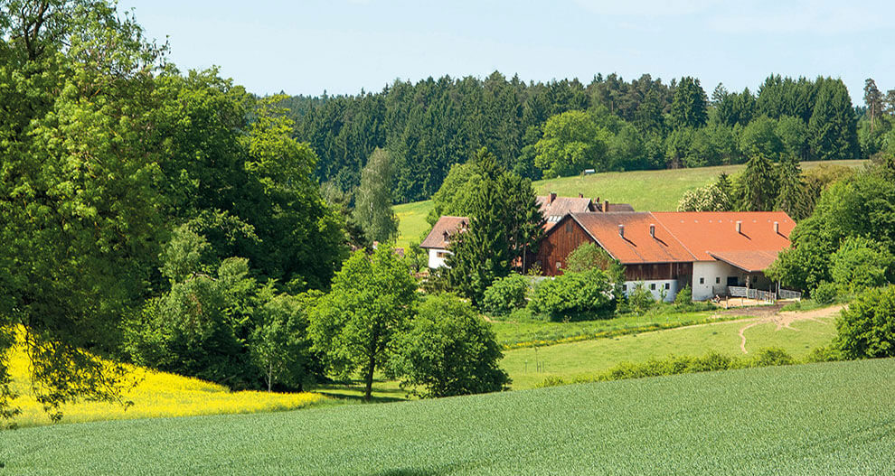 A rural landscape with a house, green fields, and trees.