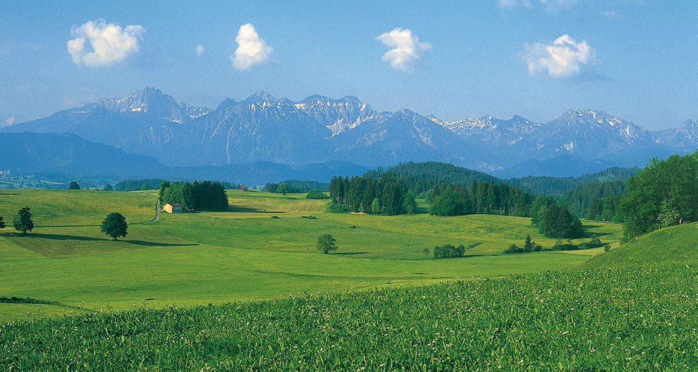 A serene landscape of rolling green fields, a few scattered trees, a solitary house, and a majestic mountain range under a clear blue sky.