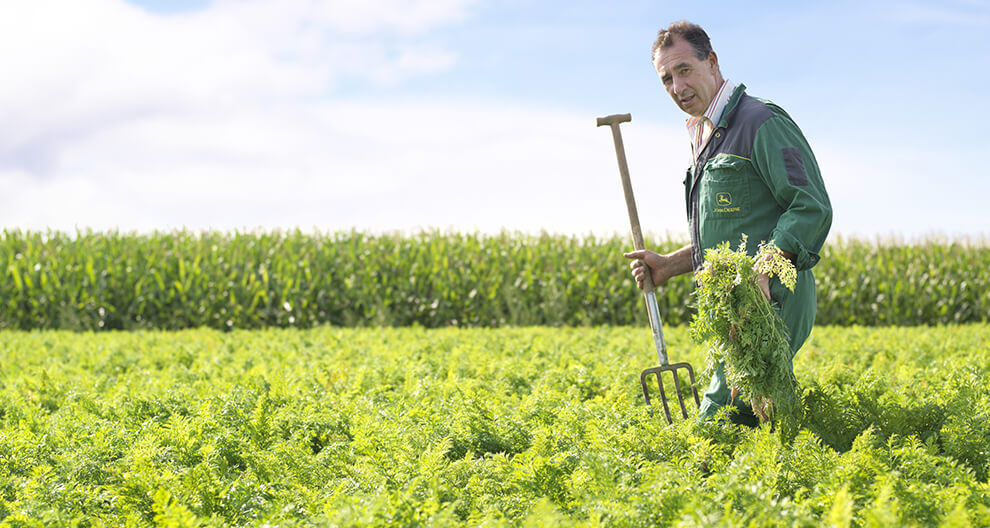 A man in green attire stands in a field, holding a pitchfork and a bunch of green plants, with a cornfield in the background.