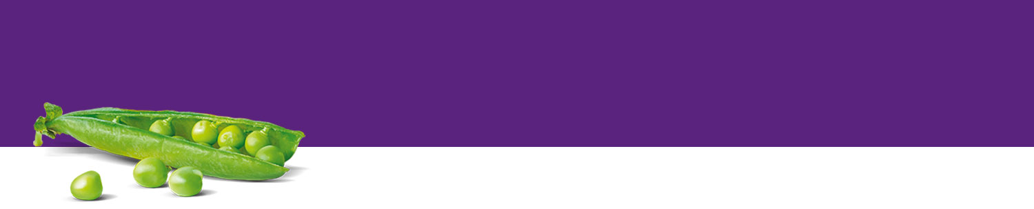 A split pea pod with green peas is presented against a purple background.