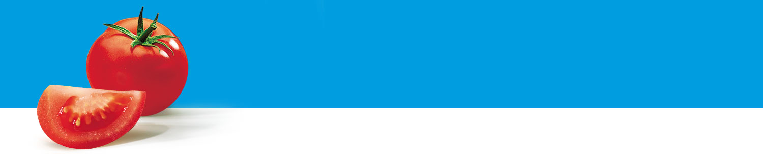 A tomato and a slice of tomato are presented against a blue background.