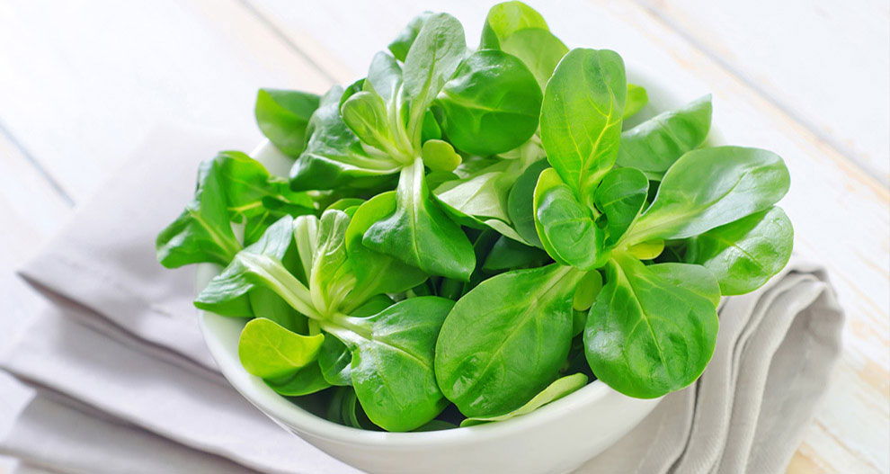 Fresh green leaves in a white bowl.