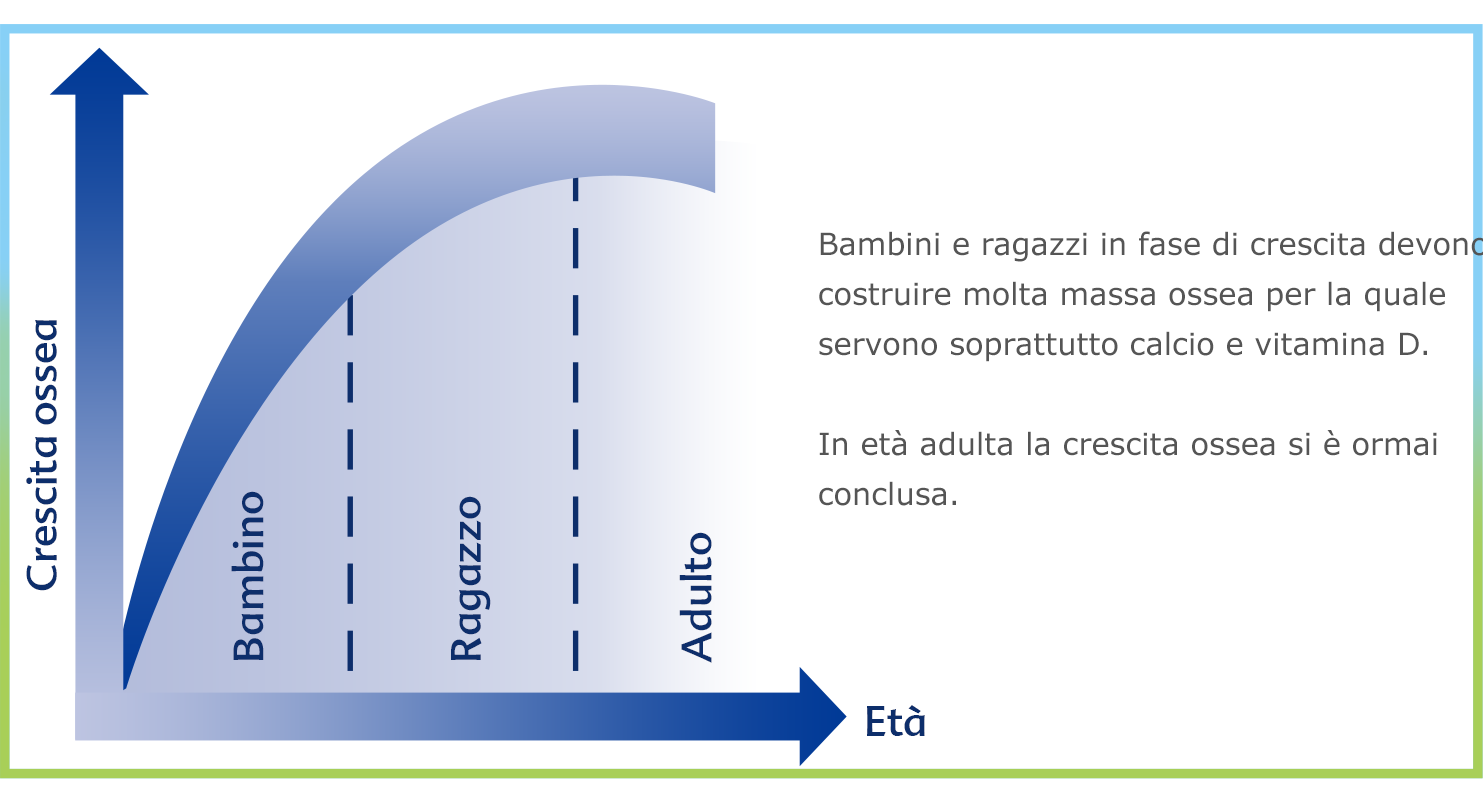Una rappresentazione grafica della densità ossea nelle diverse fasi della vita, dall'infanzia all'età adulta, con particolare attenzione all'importanza dell'assunzione di calcio e vitamina D durante l'infanzia e l'adolescenza.