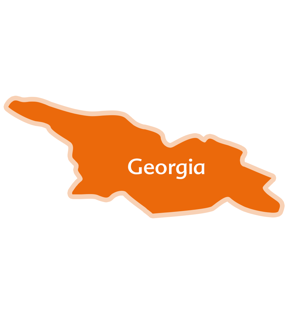 Una sagoma di un paese con il nome "Georgia" scritto all'interno.