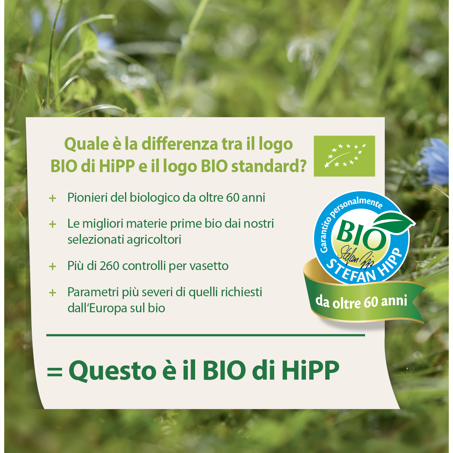 Un confronto tra il logo 