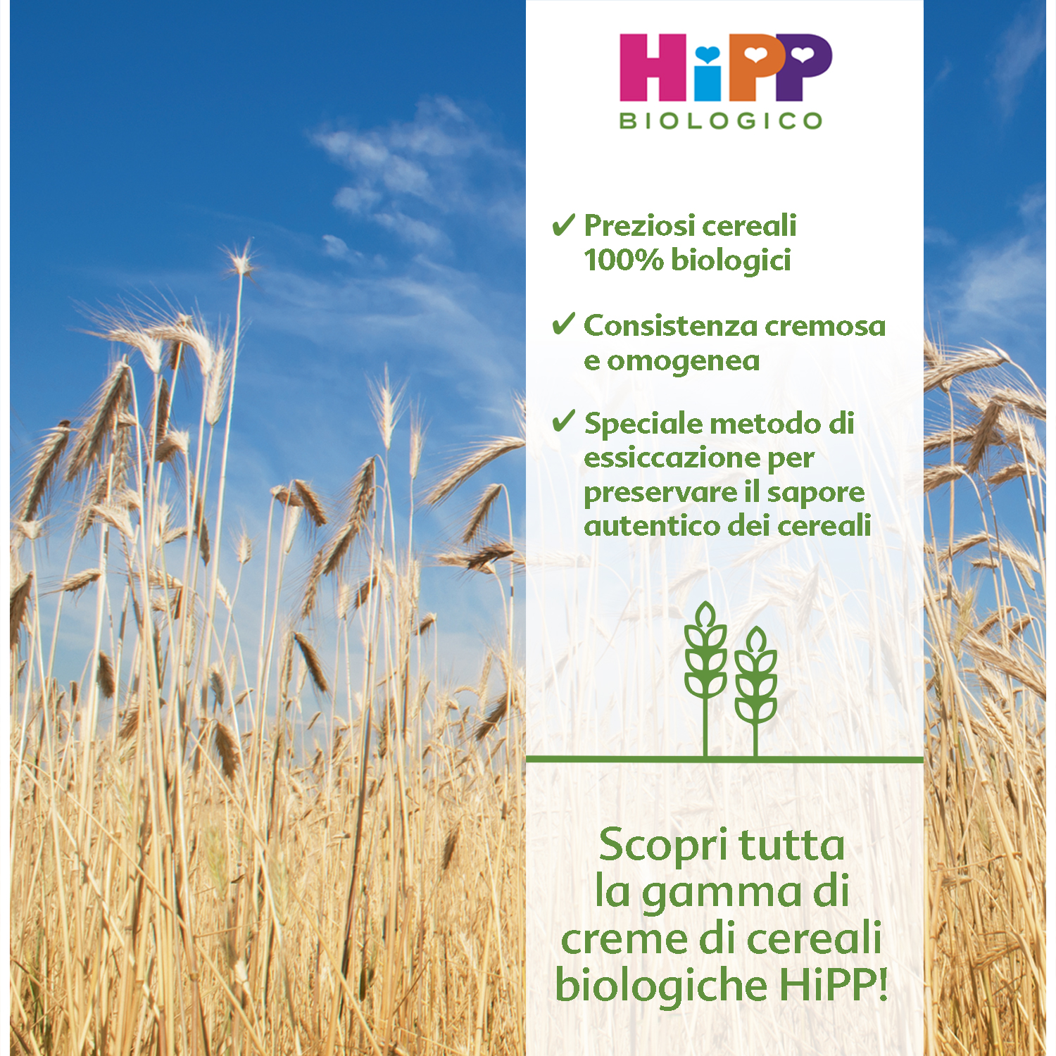 Un campo di grano con uno striscione promozionale per un prodotto biologico a base di cereali.