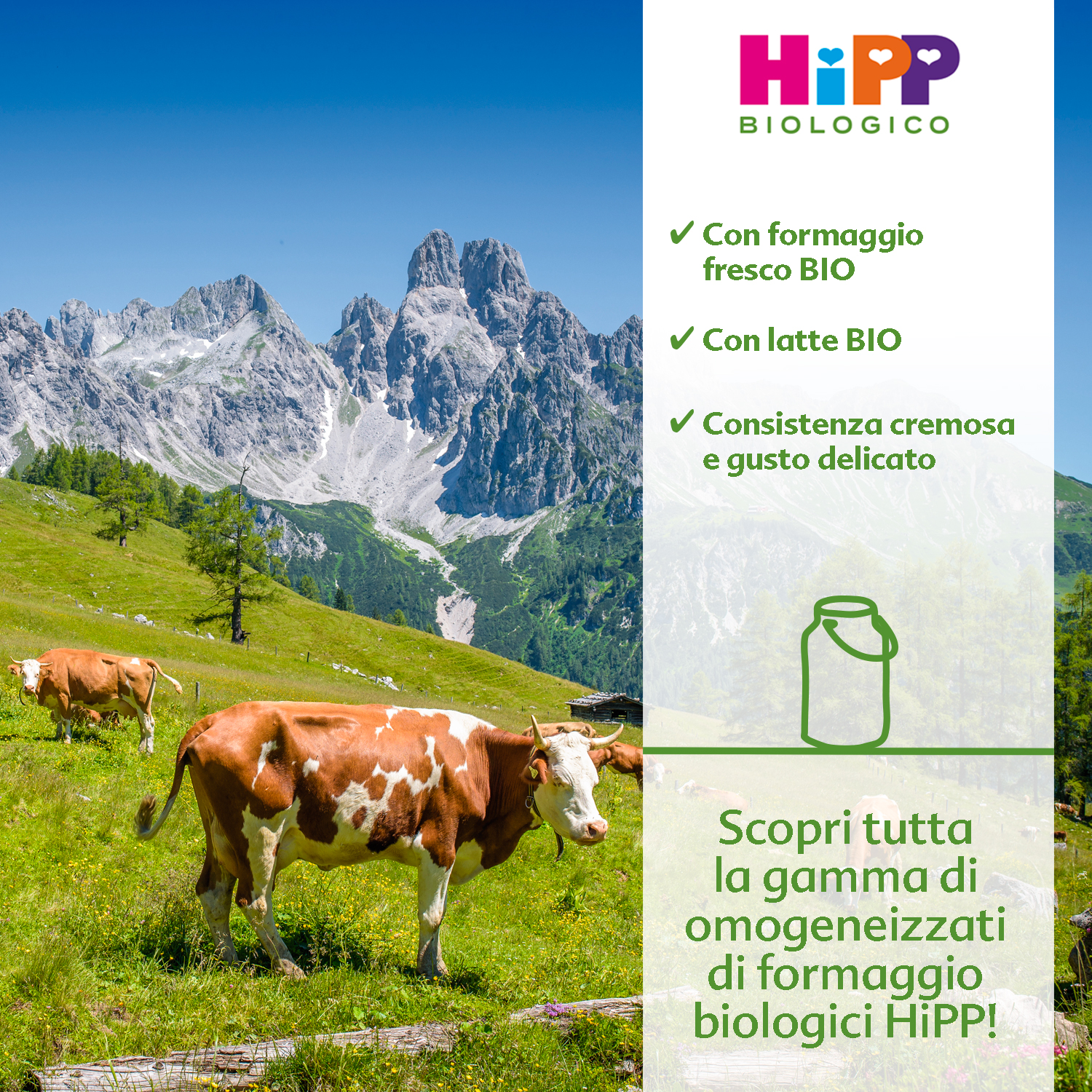 Una mucca pascola in un prato di montagna con uno sfondo di cime frastagliate, mentre uno striscione promozionale sottolinea le qualità biologiche di un prodotto chiamato 
