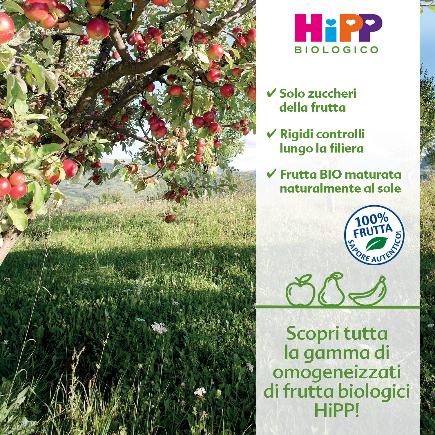 Immagine promozionale di un prodotto a base di frutta, che evidenzia le qualità biologiche e l'indicazione 100% naturale.
