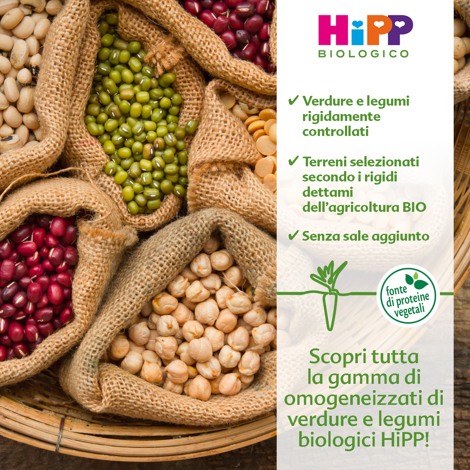 Carote con cime verdi, un banner bianco con testo verde e un disegno verde di una carota.