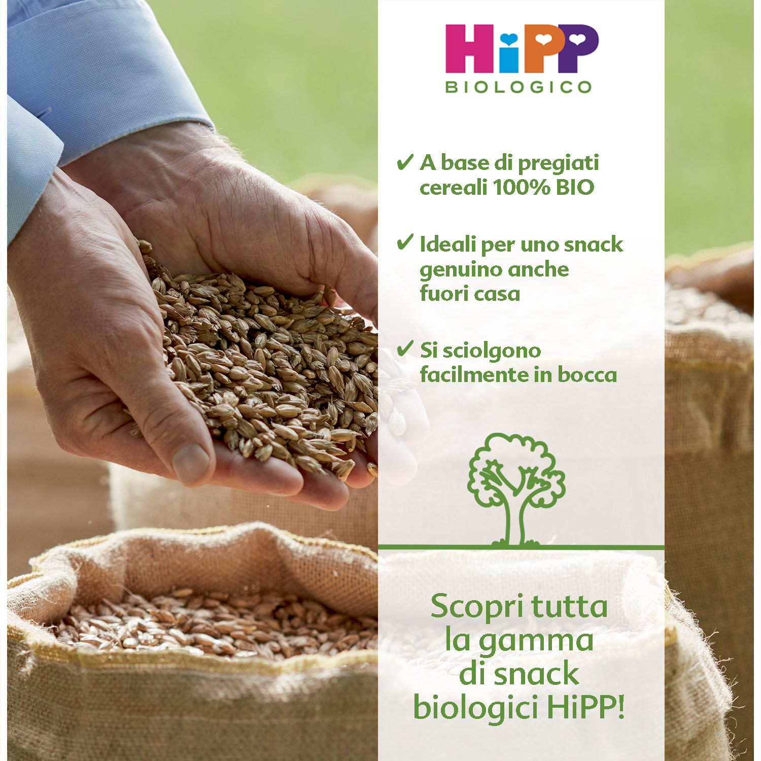 Una mano tiene in mano dei cereali biologici, con un sacco di iuta sullo sfondo e un banner promozionale per gli snack biologici.
