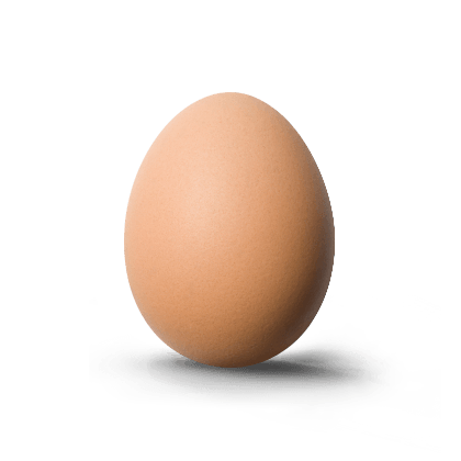 Uova
