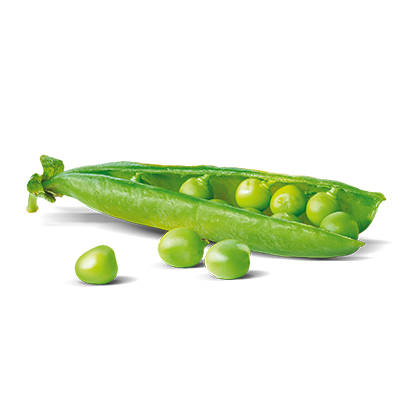 Piselli