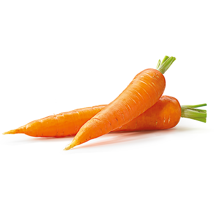 Carota