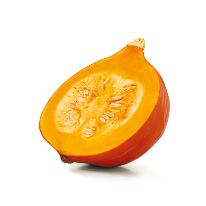 Zucca