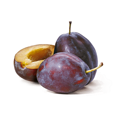 Prugne
