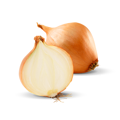 Cipolle